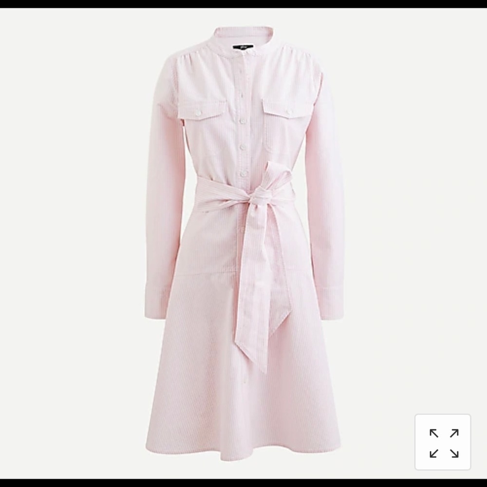 NWT JCrew Oxford Cotton A-line dress pink sz 6